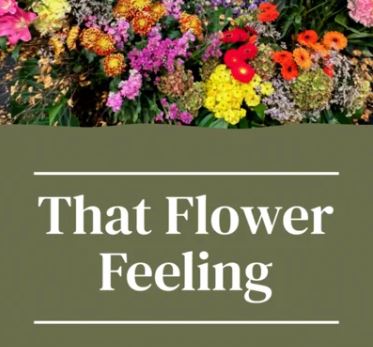 That Flower Feeling Wins Prestigious Marketing Award